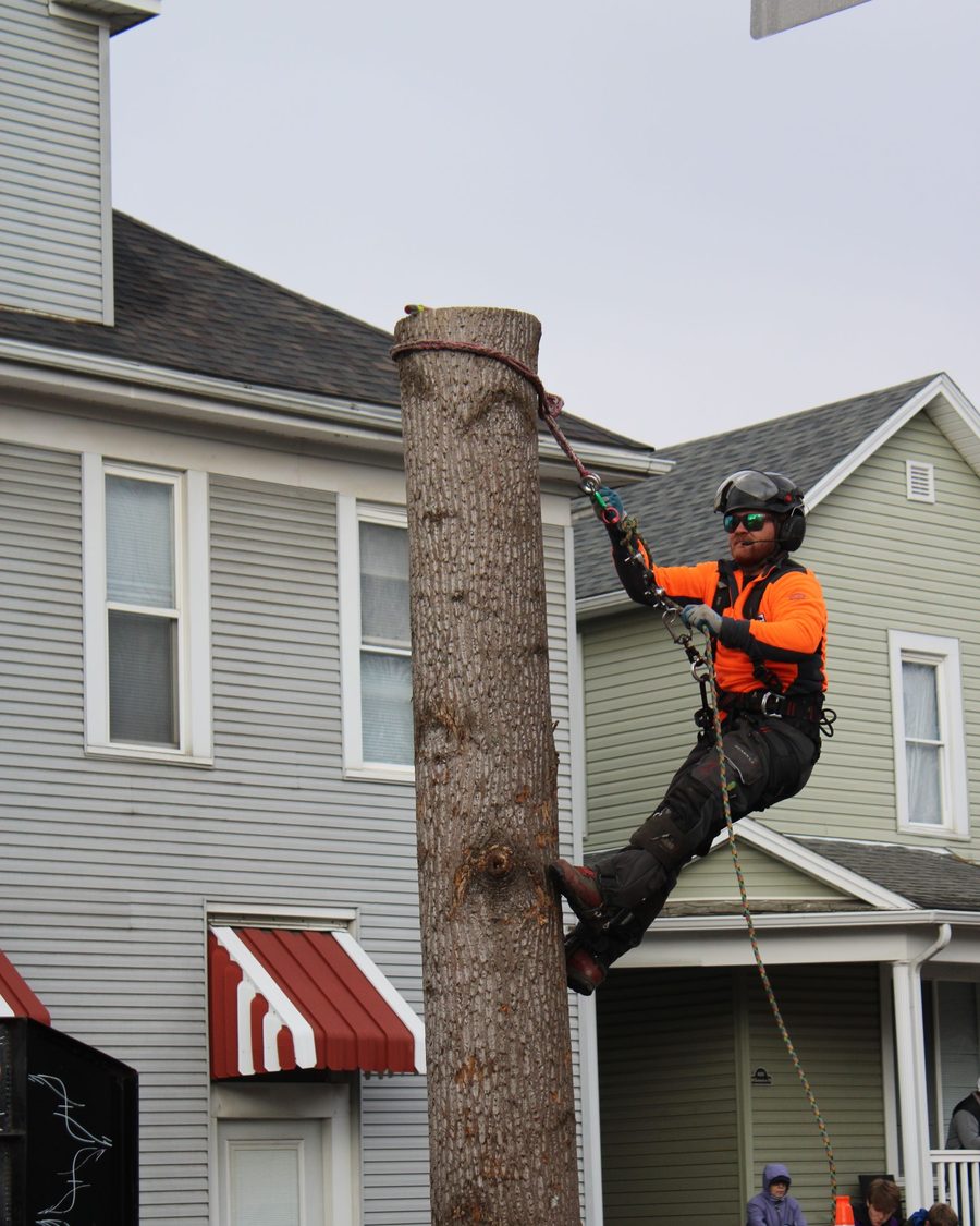 A climber roped onto a trunk standing close beside a house